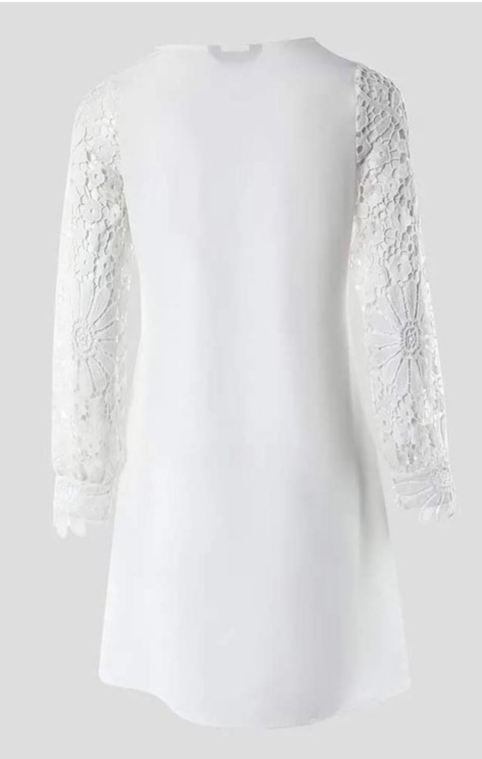 Lace Lantern Sleeve Dress