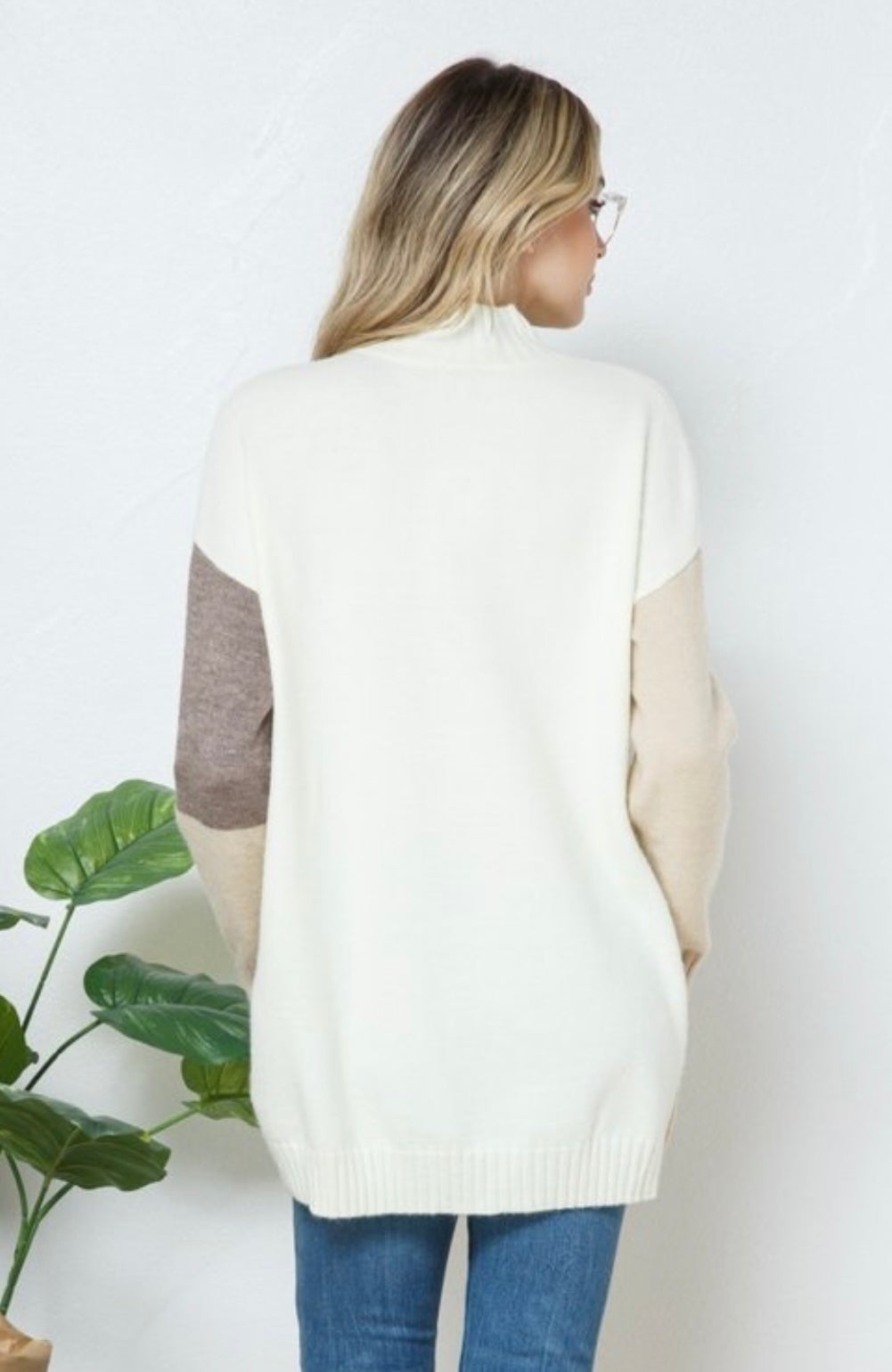 Color Block Turtle Neck Sweater