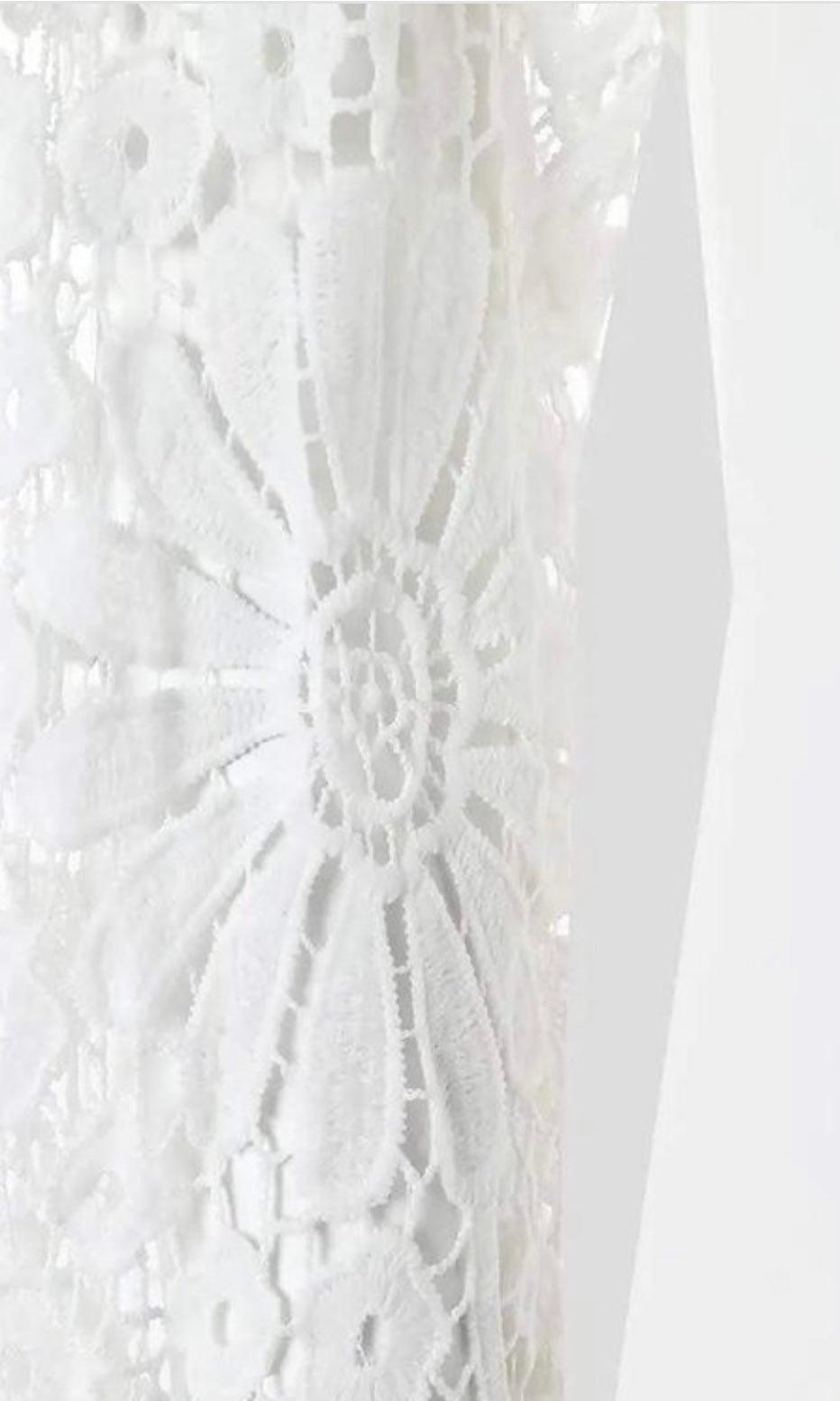 Lace Lantern Sleeve Dress